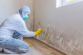 Best Forensic Mold Investigation  in USA